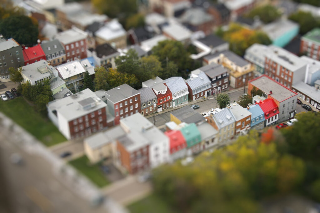 1 IMG 5230 1024x683 1