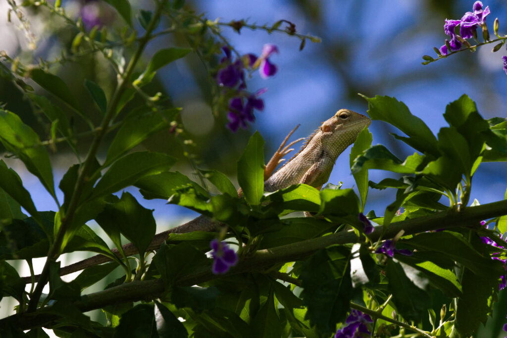 14 IMG 2537 1024x683 1