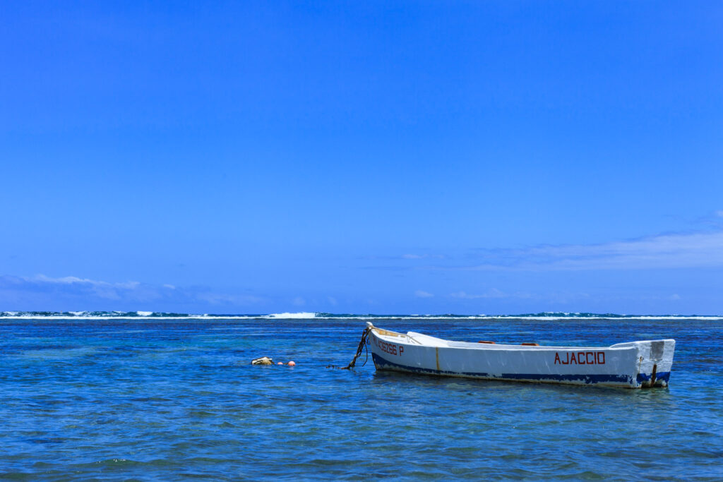 17 IMG 1828 1024x683 1