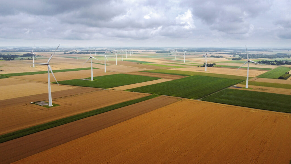 18 DJI 0548 1024x576 1