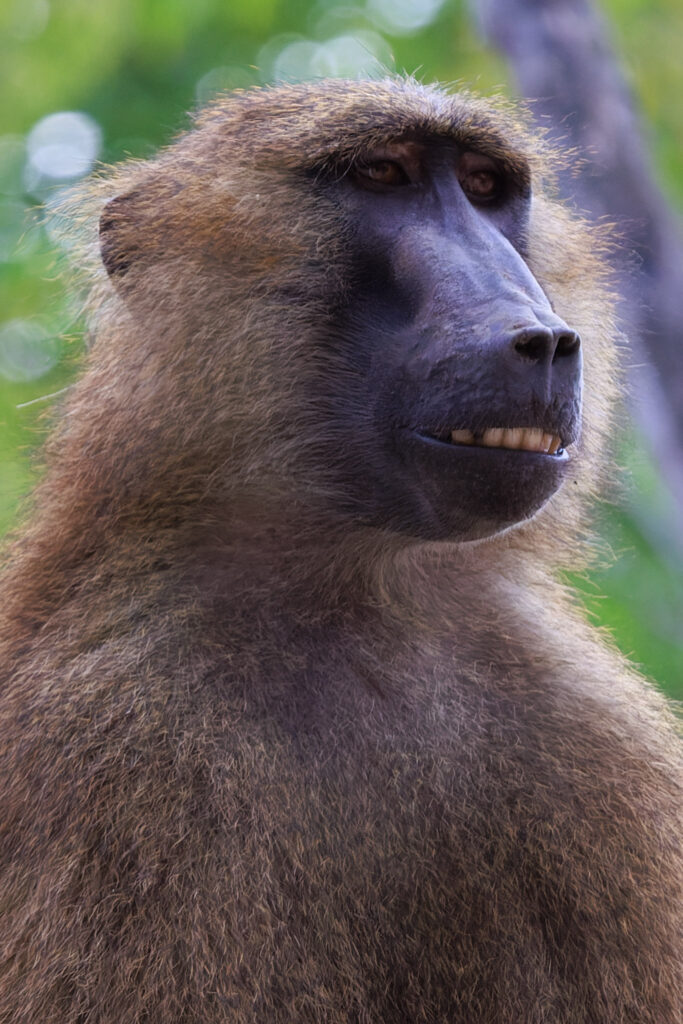 22 K57A3989 683x1024 1