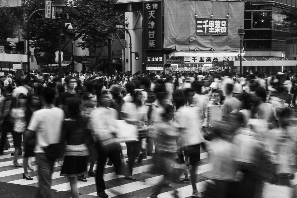 5 IMG 1708 1024x683 1