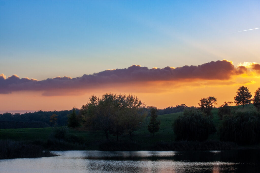 8 IMG 9680 1024x683 1